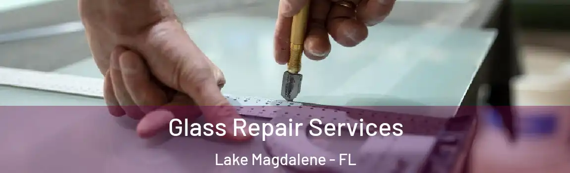  Glass Repair Services Lake Magdalene - FL